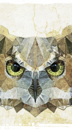abstract owl