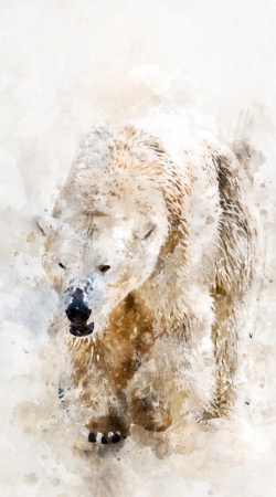Abstract watercolor polar bear