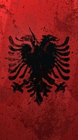Albanie Painting Flag