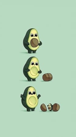 Avocado Born