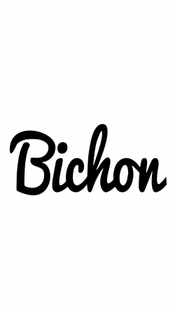 Bichon