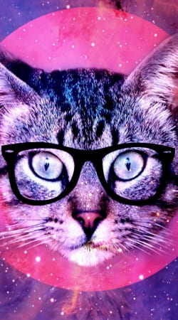 Cat Hipster