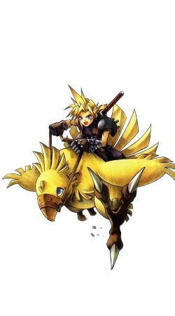 Chocobo and Cloud