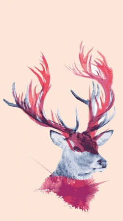 Deer paint