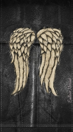 Dixon Wings