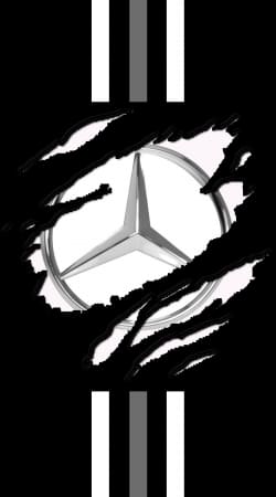 Fan Driver Mercedes GriffeSport