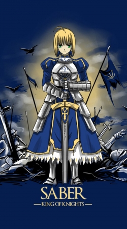 Fate Zero Fate stay Night Saber King Of Knights