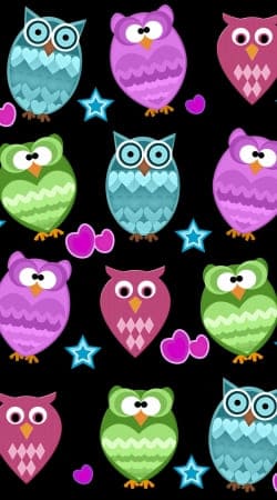 funky owls