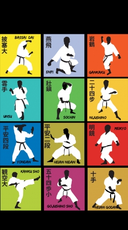 Karate techniques