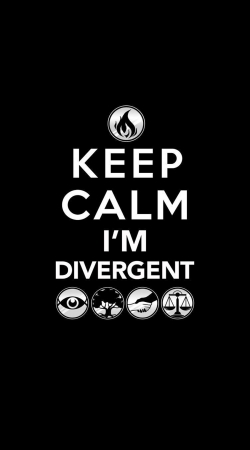 Keep Calm Divergent Faction