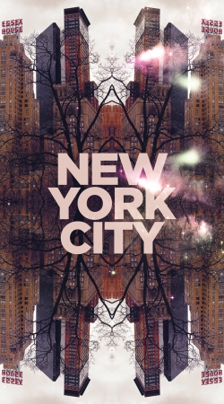 New York City VI (6)