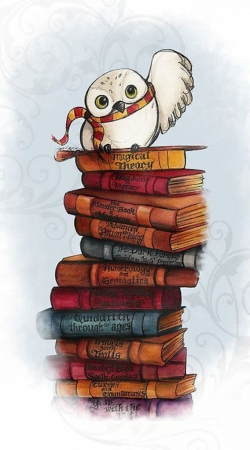 Owl and Books