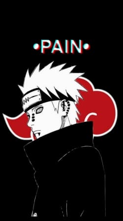 Pain The Ninja