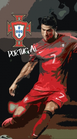 Portugal foot 2014