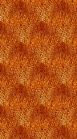 Puppy Fur Pattern
