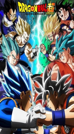 Rivals for life Goku x Vegeta