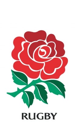 Rose Flower Rugby England