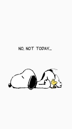 Snoopy No Not Today