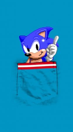 Sonic in the pocket