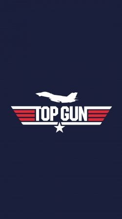 Top Gun Aviator