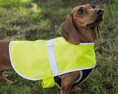 Jaqueta de cão reflexiva - colete amarelo