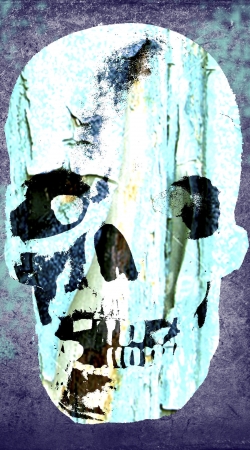 Vintage Blue Skull
