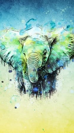 watercolor elephant