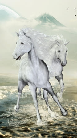 White Horses On The Beach