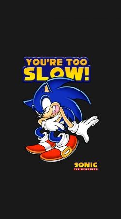 You're Too Slow - Sonic