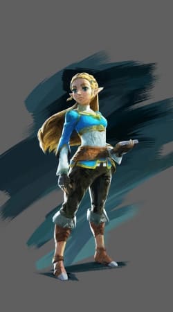 Zelda Princess